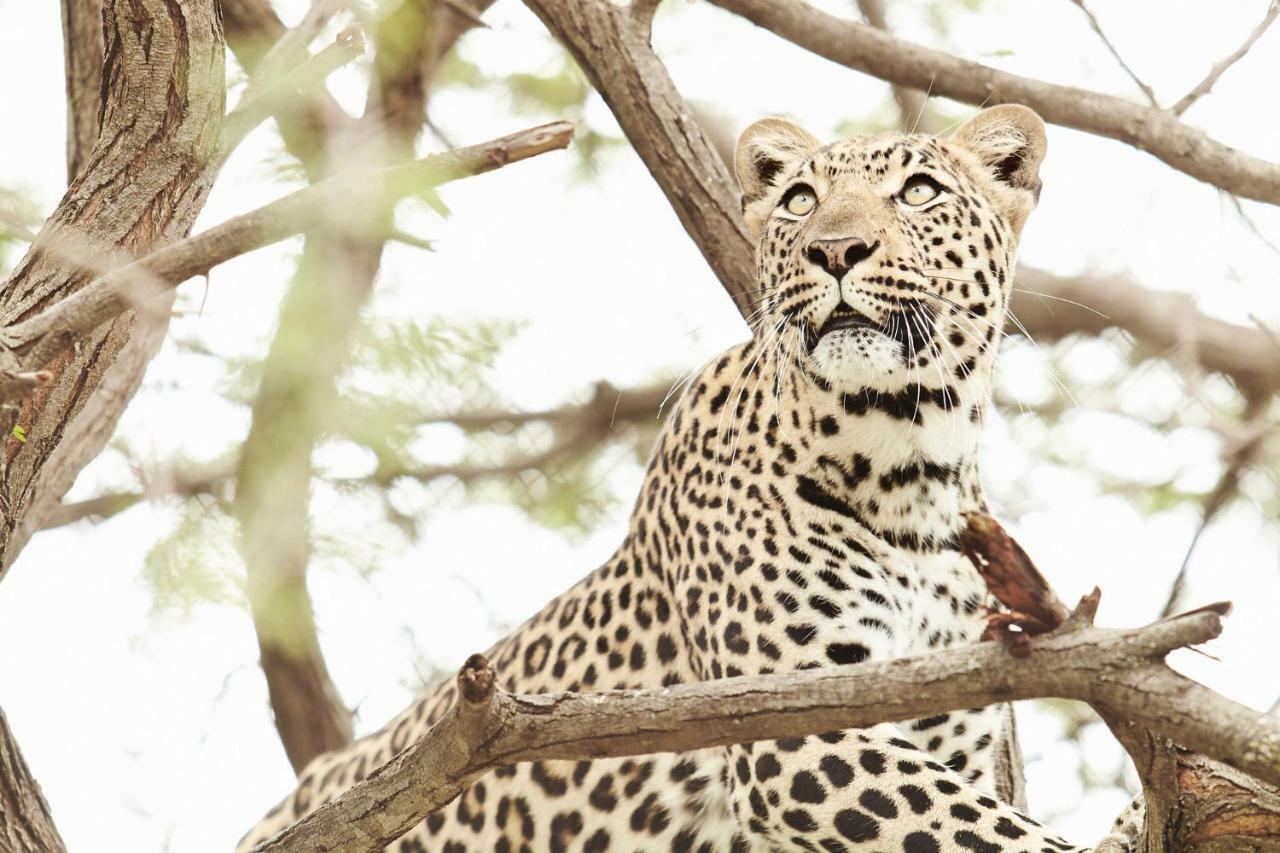 Vuyani River Lodge Hoedspruit Kültér fotó